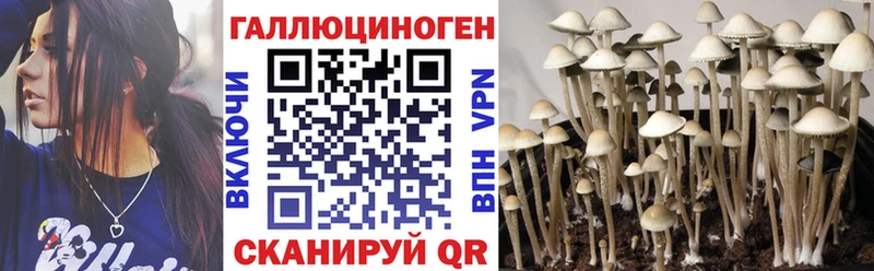 Псилоцибиновые грибы мухоморы  Опочка 